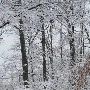 Meet your Posher, Faye